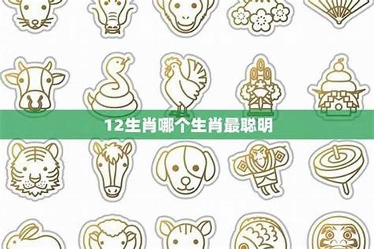 最聪明最会算计的4个生肖女