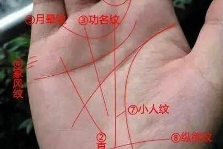 生肖鼠1984年2025年运势如何 生肖鼠1984年2025年全年运势