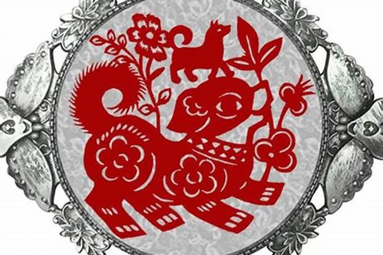 属猪的几月出生的犯冲啊