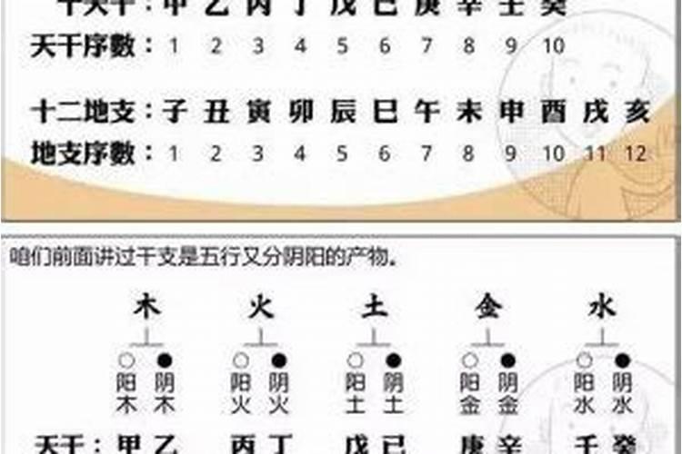 天星择日最详细的方法