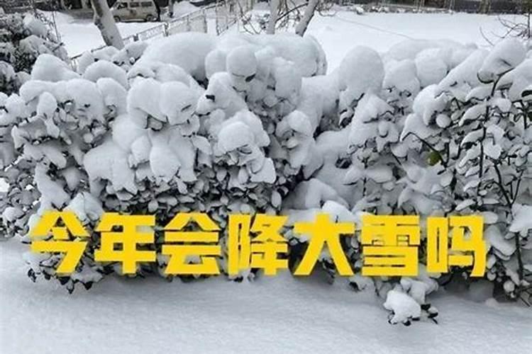 湖南体考评分标准2025