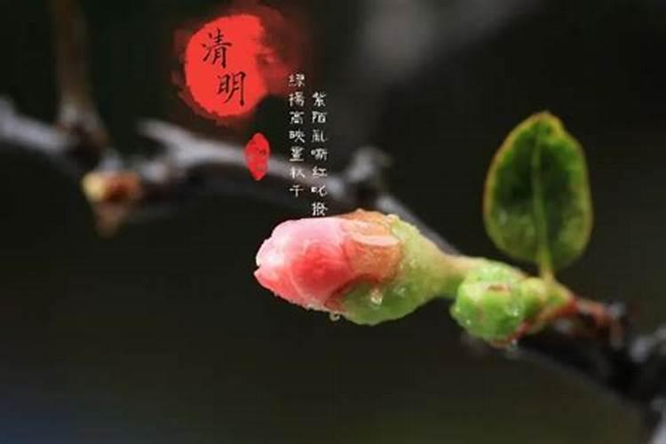 化解口舌是非的吉祥物