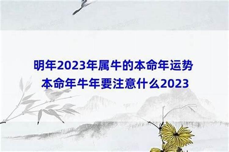 属马的人适合佩戴什么手链