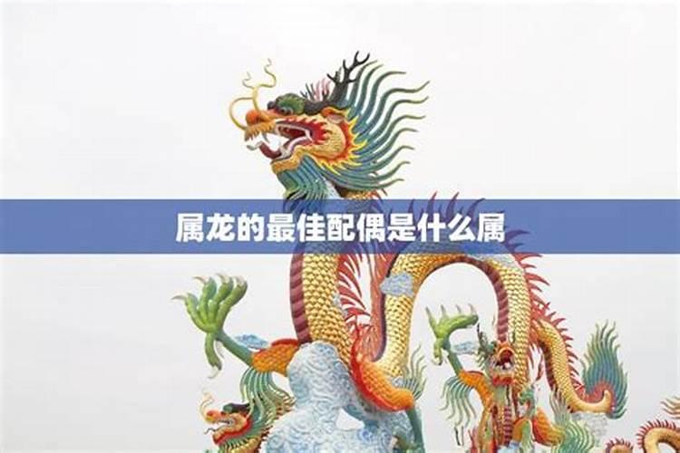 龙的最佳属相婚配表
