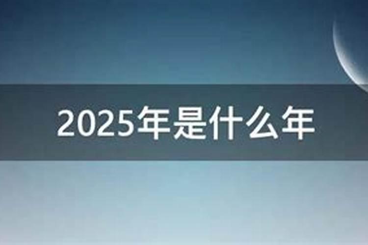 2025年属什么生肖2025年属哪个生肖
