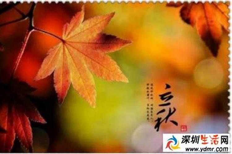 我是农历87年12月20日,公历88年2月7日出生,我到底属什么？