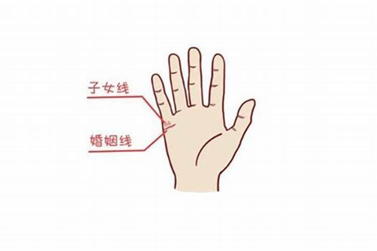 看你掌中握住的“子女运”