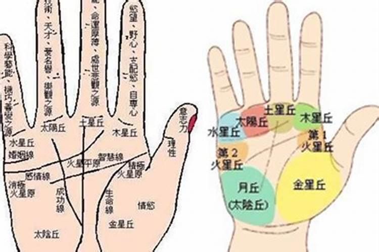 从手相看人的事业运