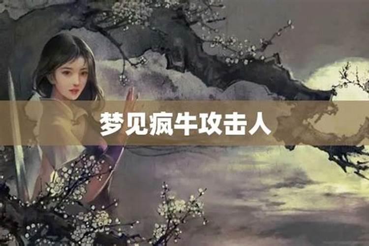梦见疯牛乱窜攻击人