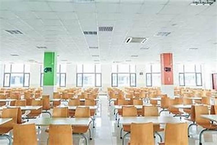 梦见去学校看自己的孩子的预兆