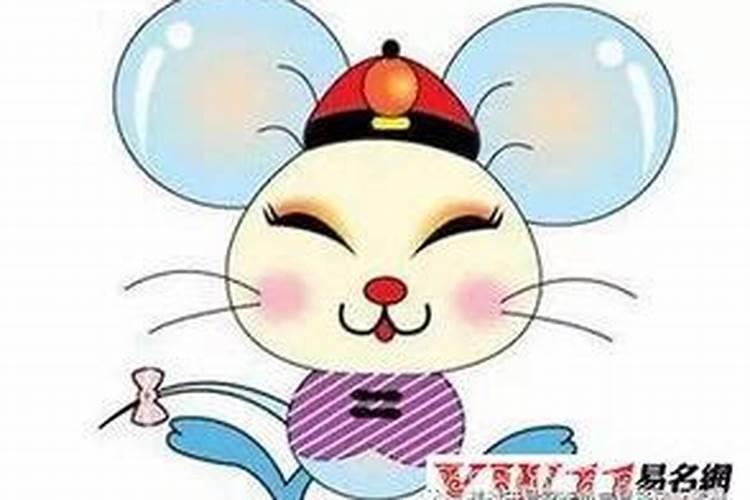属鼠的人2025年运势及运程每月运势如何