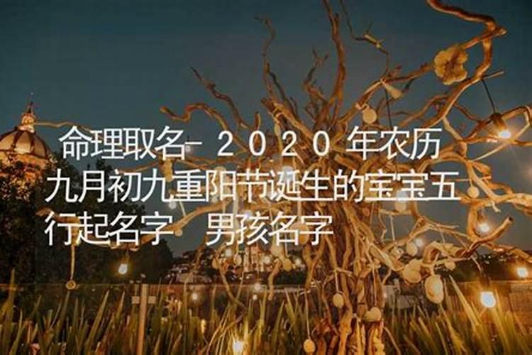 2025年10月25号农历九月初九出生的男孩生辰八字起名