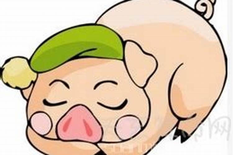 属猪出生日命运