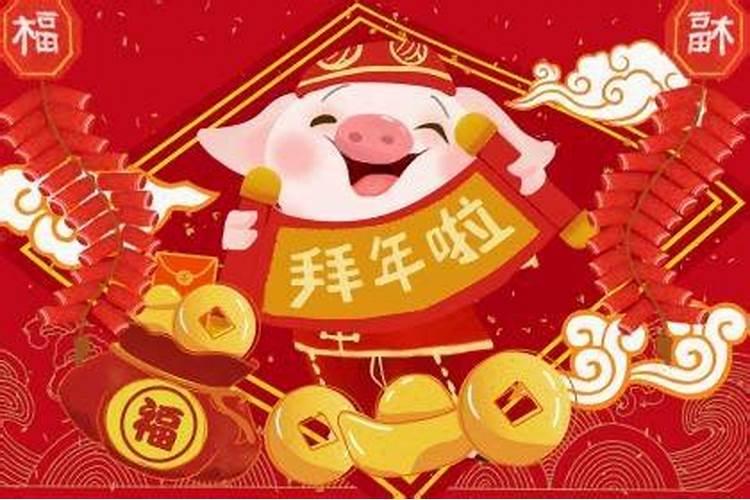 属猪在不同日期和月份出生的命运