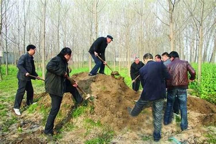 清明可以迁坟墓吗 清明节迁坟注意事项