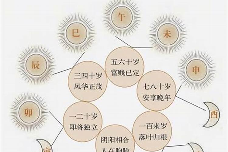 梦见两只乌龟在水里的预兆