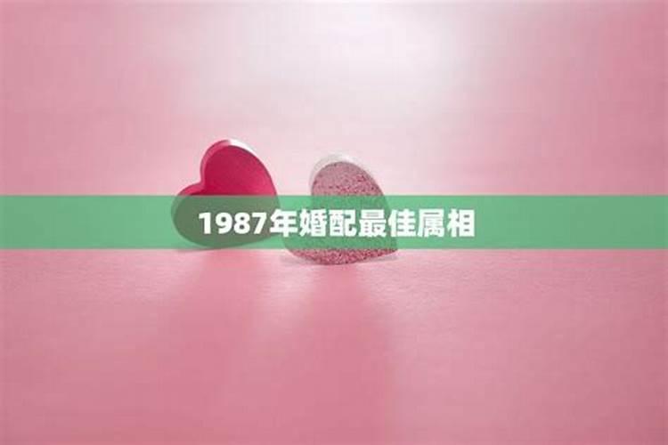 2017年太岁姓什么