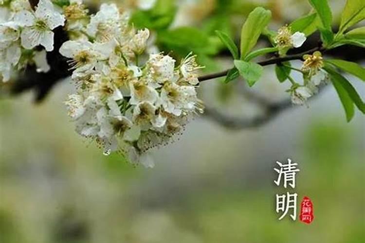 清明节前三后四是什么意思