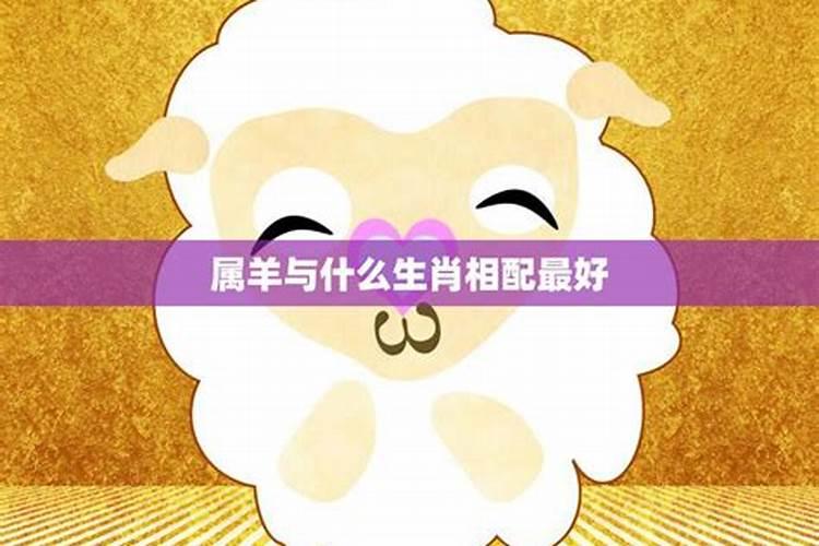 属羊人十二生肖流年运势 遇兔年盛势仍然有财运？