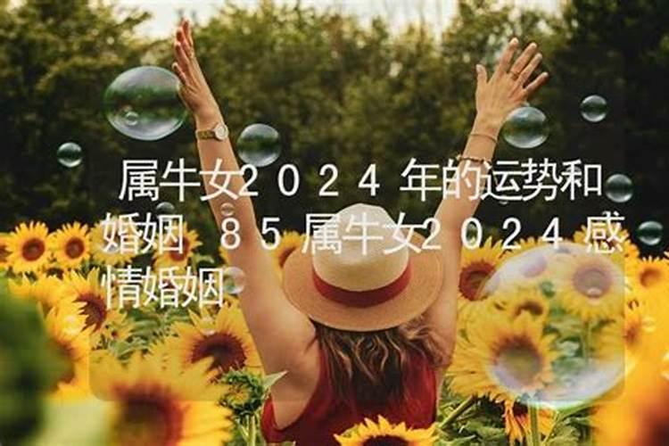 梦见一群人在上坟