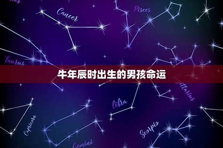 牛姓取名字大全免费