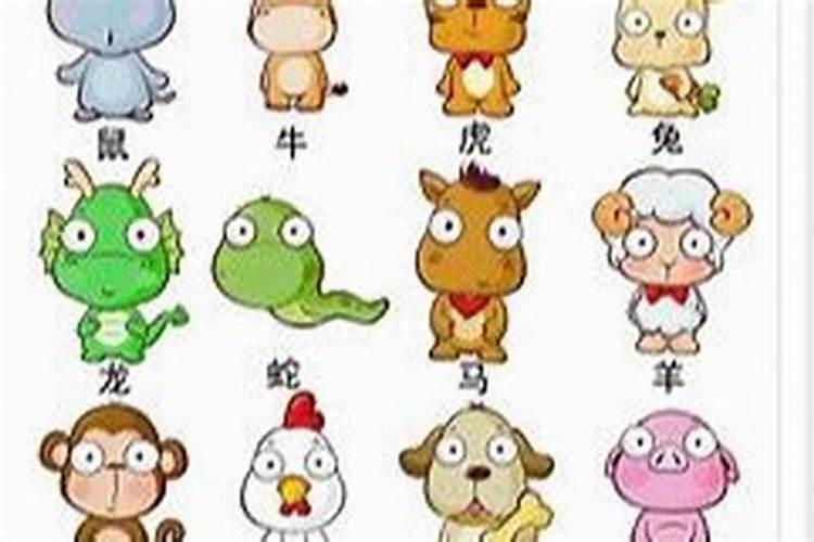 属兔人遇虎年必有一破 属兔人虎年的吉祥色