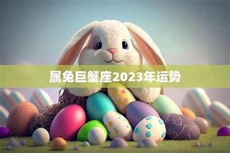 属兔人遇虎年必有一破 贵人相助事业有巨大突破？