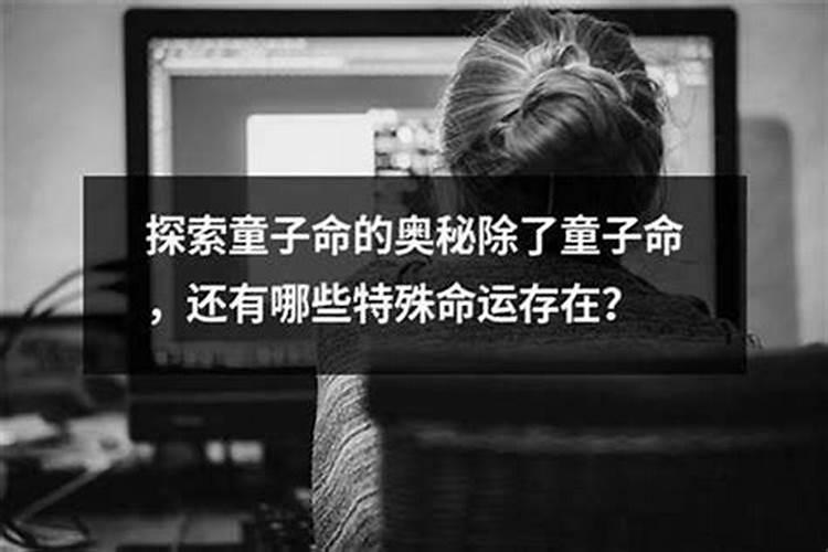 1987年属兔2025年的运势及运程如何