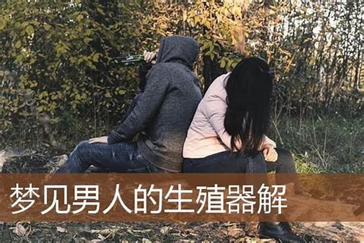 梦见老公鸡鸡很粗大的预兆