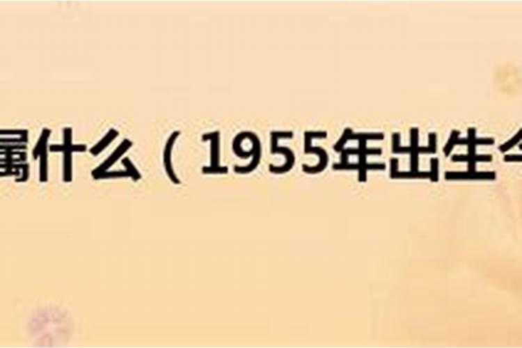 梦见姐姐我生了个儿子