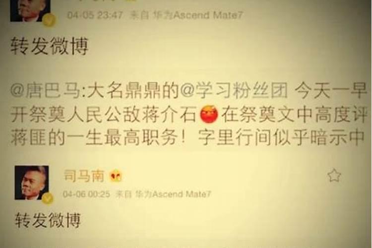 属兔2025年运势详解