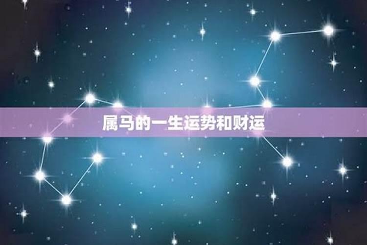 11月份出生的马好不好