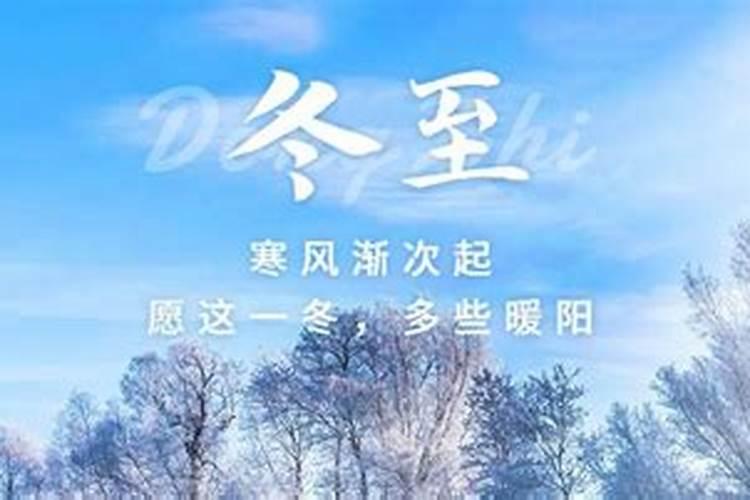 1992年的猴到底是金命还是水命
