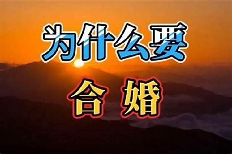 两个人合不合是看属相还是看八字 八字合婚的注意事项？