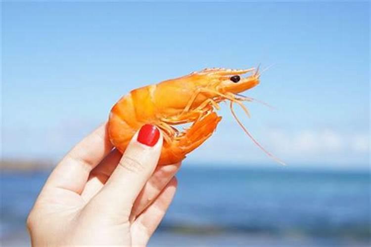 梦见海虾是什么意思？
