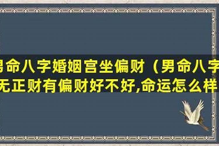 堕胎后的宝宝到哪去了