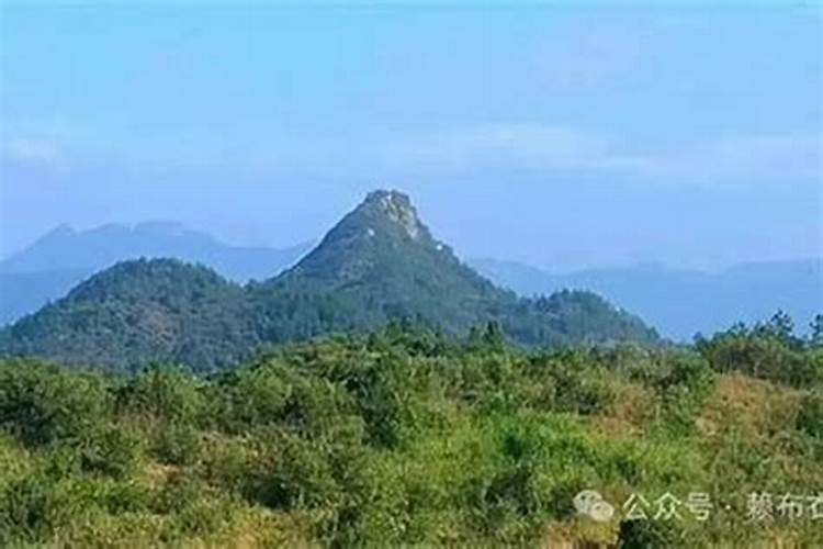 “宅北有龙,前程无穷”中的龙指的是什么呢？