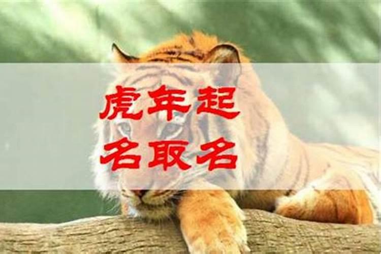 虎最旺100分男孩名字如意1390个,最有财气的男宝宝名