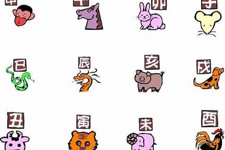 属虎的忌配什么属相,属虎和属龙夫妻天涯