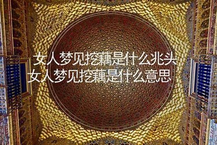 1967年正月初五出生的人属什么星座？