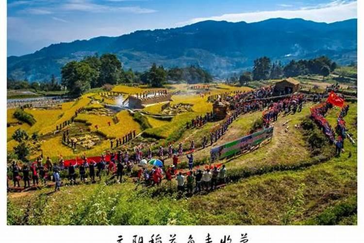 中国农民丰收节手抄报内容