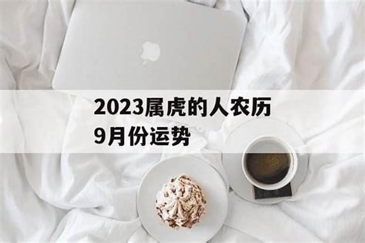 属虎人2024年运势及运程详解