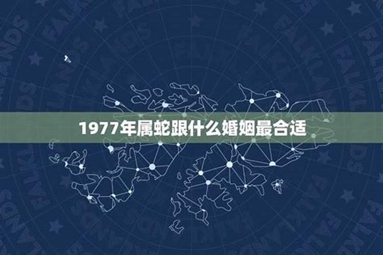 治小人绝招咒语