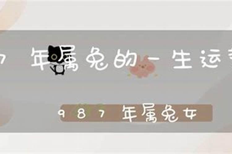1987年的女兔命好不好