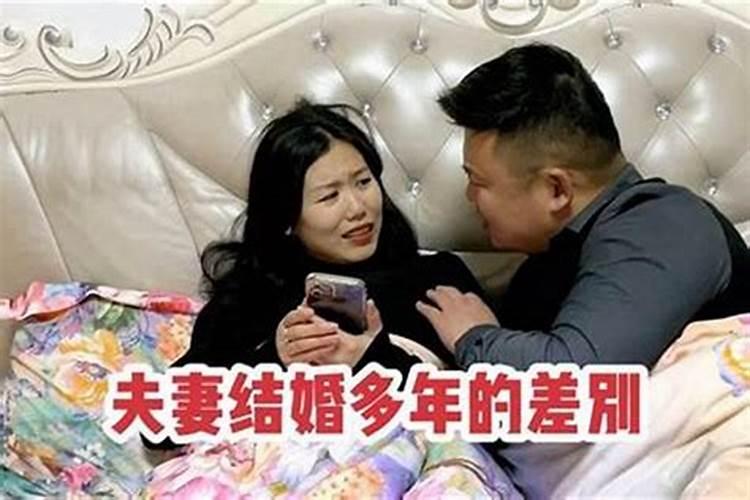 为什么养鱼之后财运不好了 需注重颜色选择？