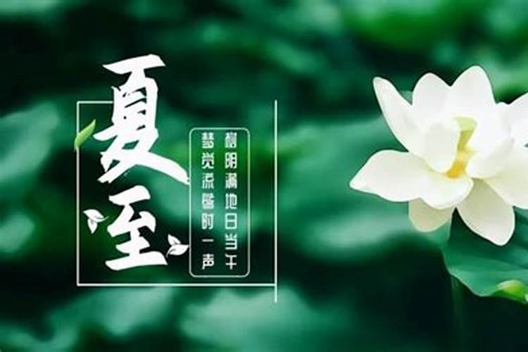 夏至节气吃什么食物