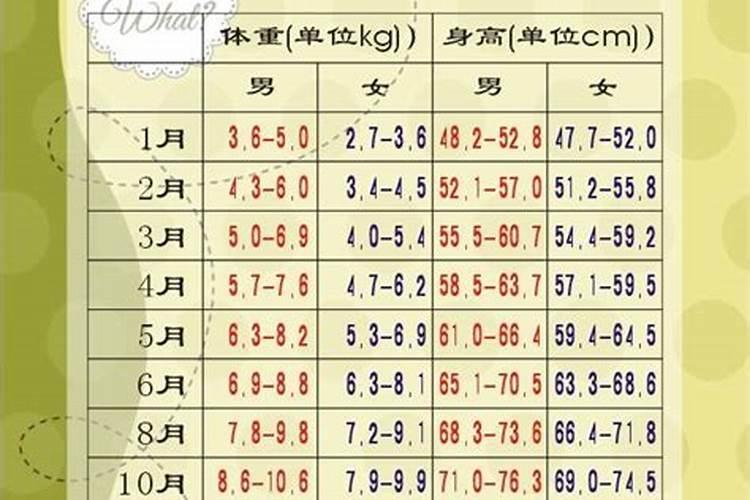 67年的羊2025年运势