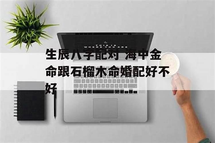 海中金的命和石榴木命和吗 夫妻恩爱白头偕老？