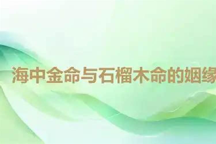 石榴木男和海中金女般配吗