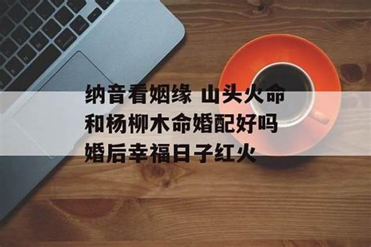 火命蛇和木命兔婚配吗,1987年火命跟1989年木命合婚吗